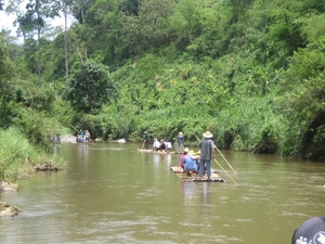 Thailand - Chiang mai - a ride on an elephant in Elephant nature