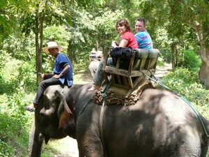 Thailand - Chiang mai - a ride on an elephant in Elephant nature