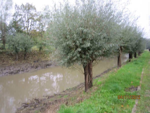 Ingelmunster met club 76 4-11-2012 007