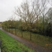 Ingelmunster met club 76 4-11-2012 027