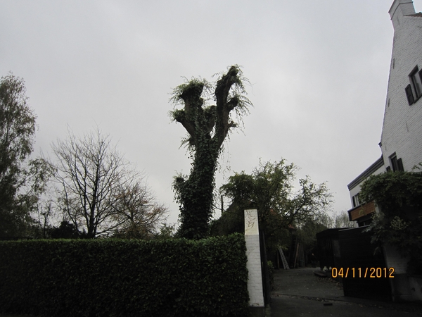 Ingelmunster met club 76 4-11-2012 029