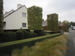 Ingelmunster met club 76 4-11-2012 034