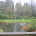 Ingelmunster met club 76 4-11-2012 043