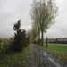 Ingelmunster met club 76 4-11-2012 046