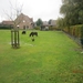 Ingelmunster met club 76 4-11-2012 053