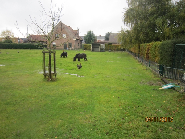 Ingelmunster met club 76 4-11-2012 053