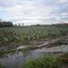 Ingelmunster met club 76 4-11-2012 059