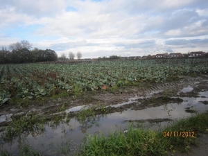 Ingelmunster met club 76 4-11-2012 059