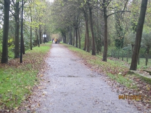 Ingelmunster met club 76 4-11-2012 066