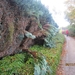 Ingelmunster met club 76 4-11-2012 074