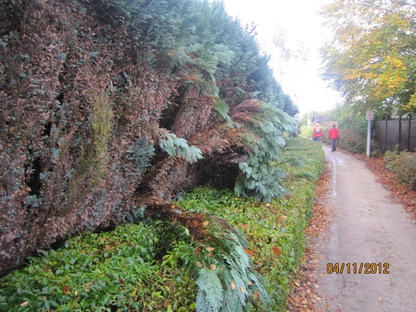 Ingelmunster met club 76 4-11-2012 074