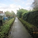 Ingelmunster met club 76 4-11-2012 083