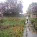 Ingelmunster met club 76 4-11-2012 088