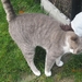 Ingelmunster met club 76 4-11-2012 090