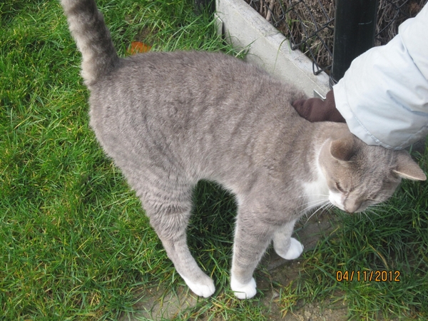 Ingelmunster met club 76 4-11-2012 090