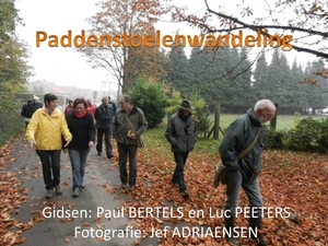 Paddenstoelenwandeling