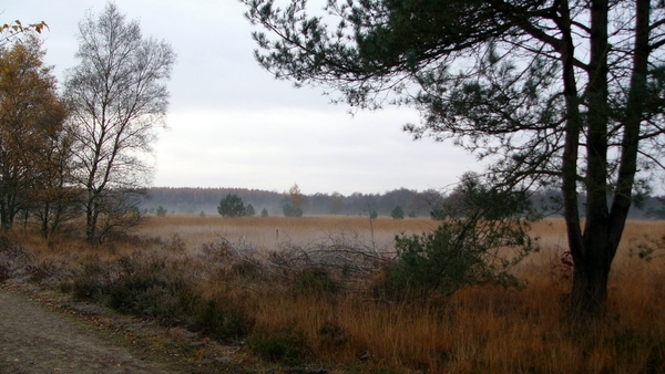 P1340107