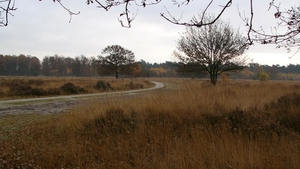 P1340110