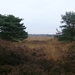 P1340119
