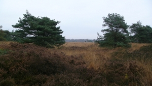 P1340119