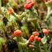 P1340121