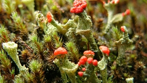 P1340121