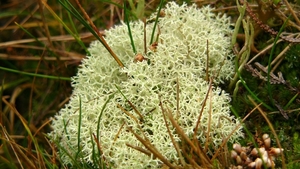 P1340123