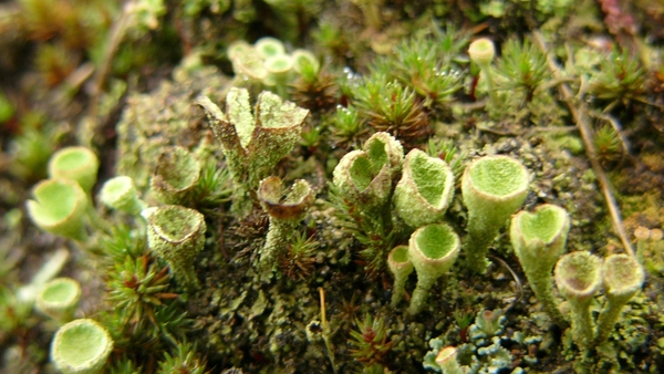 P1340124