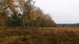 P1340126