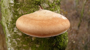 P1340128