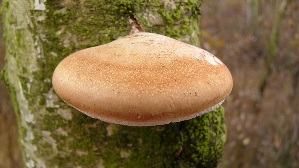 P1340128