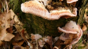 P1340138