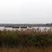 P1340139