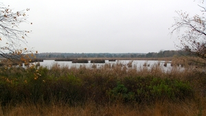 P1340139