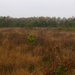 P1340147
