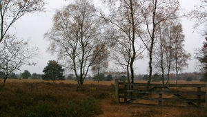 P1340148