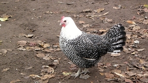 P1340211