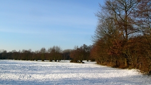 P1340261