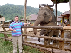 Thailand - Chiang mai- elephants feeding in Elephant nature park 