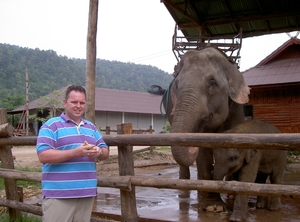 Thailand - Chiang mai- elephants feeding in Elephant nature park 