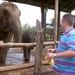 Thailand - Chiang mai- elephants feeding in Elephant nature park 