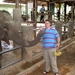 Thailand - Chiang mai- elephants feeding in Elephant nature park 