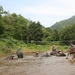 Thailand - Chiang mai- elephants feeding in Elephant nature park 