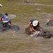 Thailand - Chiang mai- elephants feeding in Elephant nature park 