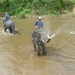 Thailand - Chiang mai- elephants feeding in Elephant nature park 