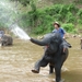 Thailand - Chiang mai- elephants feeding in Elephant nature park 