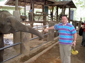 Thailand - Chiang mai- elephants feeding in Elephant nature park 