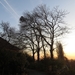 2012-12-13 Geraardsbergen 005
