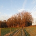 2012-12-13 Geraardsbergen 006