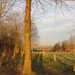 2012-12-13 Geraardsbergen 008